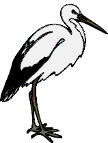 Stork Graphics and Animated Gifs. Stork