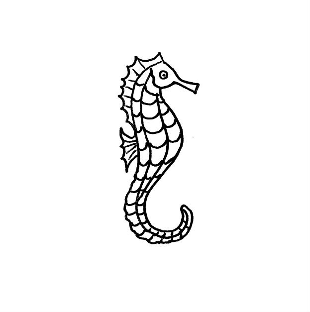 Seahorse Template