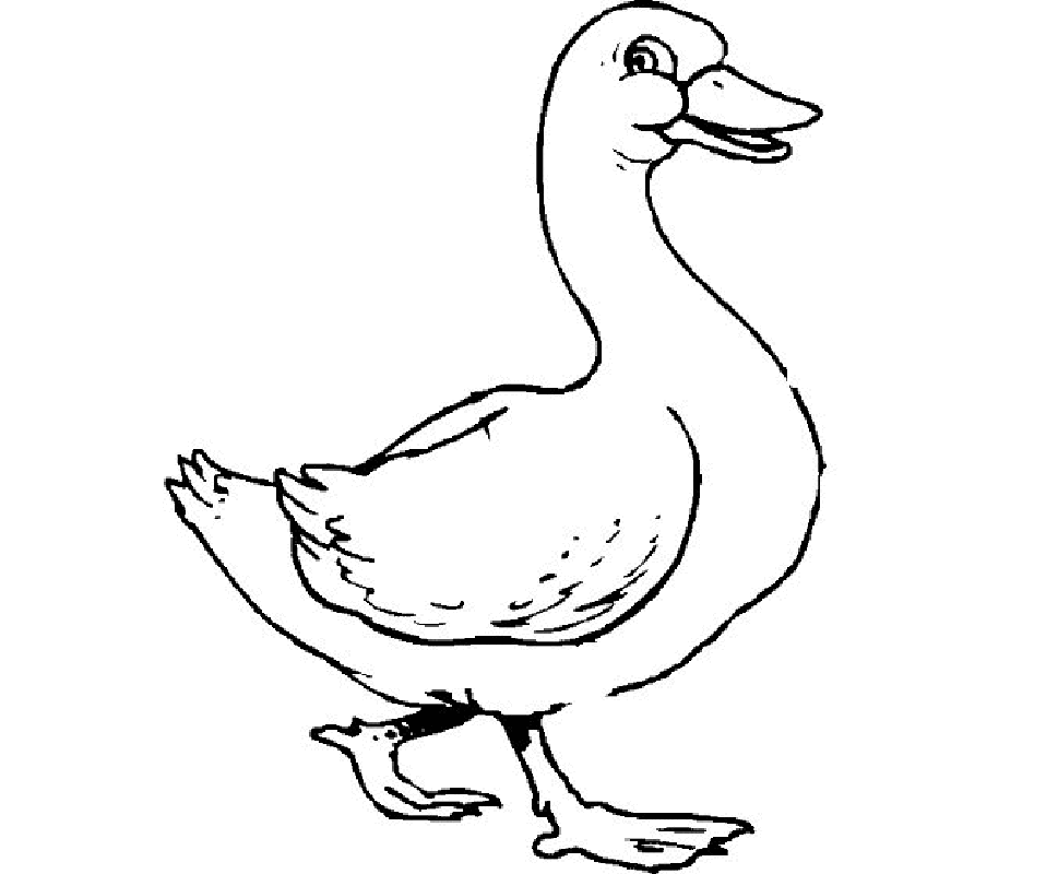 Printable Duck Coloring Pages | Free coloring pages for kids