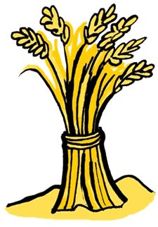 4 wheat clipart