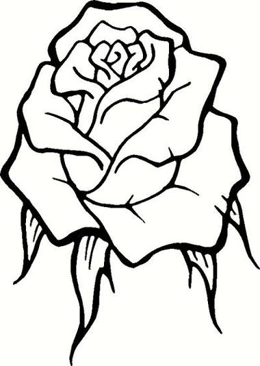 Rose Outline Drawing Clipart - Free to use Clip Art Resource