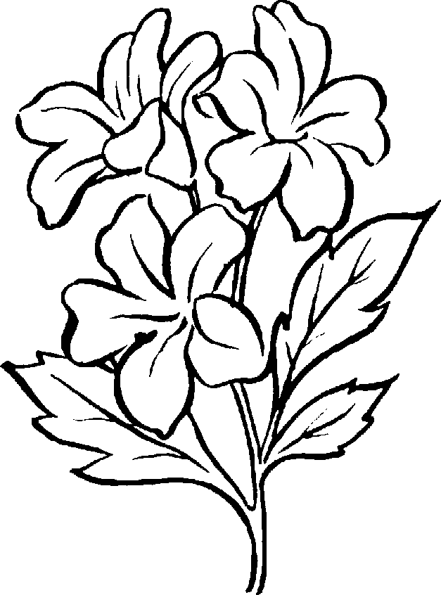 Plants Clipart Black And White - Free Clipart Images - ClipArt Best