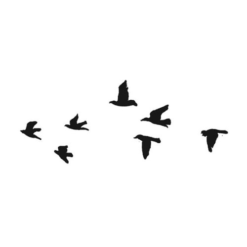 Amazon.com : Flock of Black Birds Temporary Tattoo (Set of 2 ...