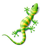 GEICO Gecko Clipart