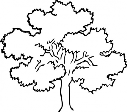 Black And White Tree Drawing