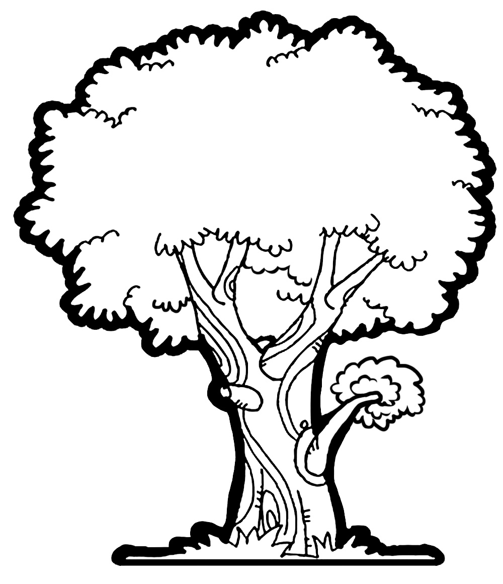 mango tree drawing Colouring Pages