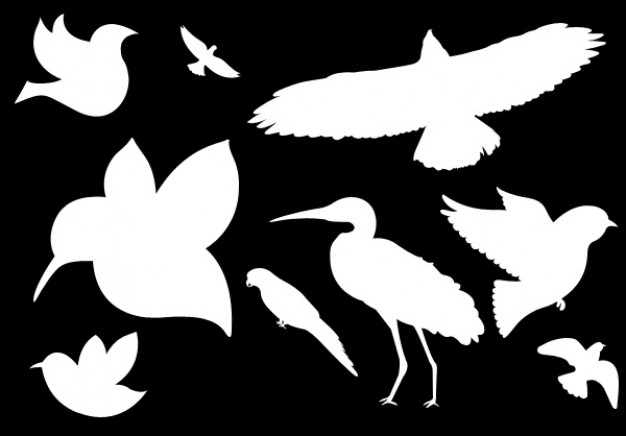 White birds shapes PSD | Download free PSD