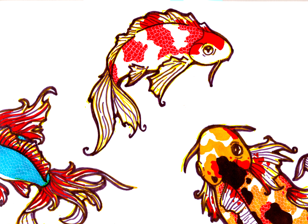 1000+ images about koi