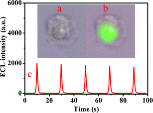 One-step growth of high luminescence CdTe quantum dots with low ...