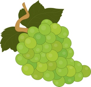 Grapes fruit clipart - ClipartFox