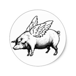 Black And White Pig Stickers | Zazzle