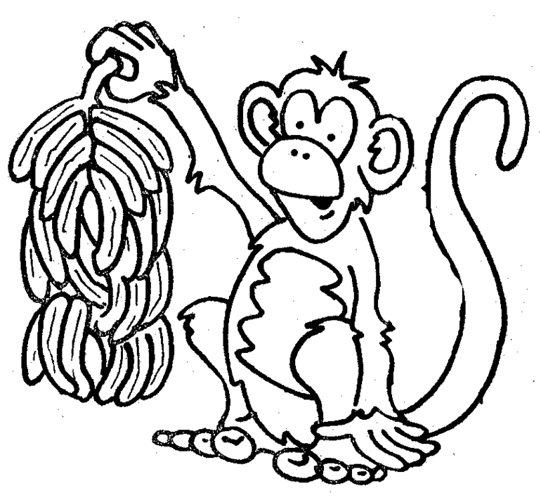 Monkey black and white pics of cute monkey clip art coloring pages ...