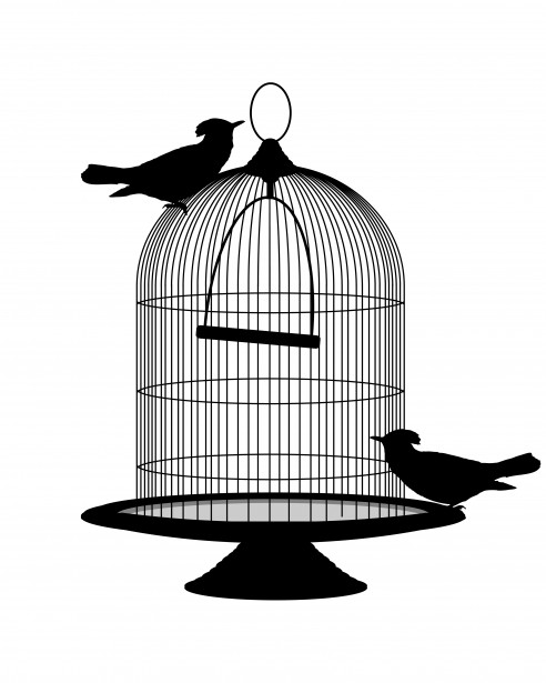 Clipart bird cage