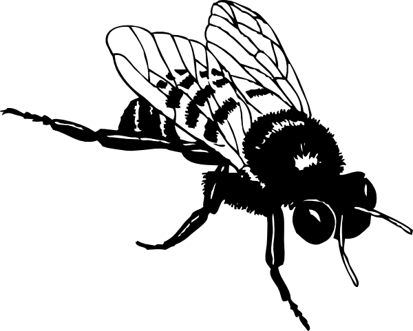 Bumble Bee Outline
