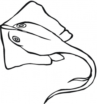 Sting Ray Coloring Page