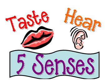 5 SENSES POSTER