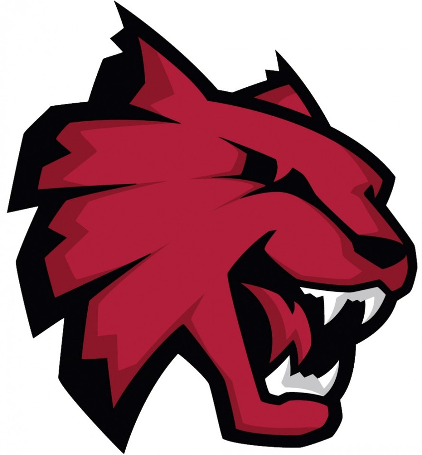 Wildcats Logo Clipart - Free to use Clip Art Resource