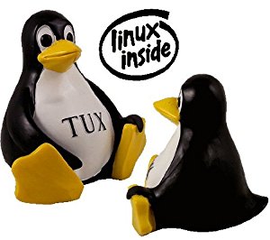 Amazon.com: Tux - The Linux Penguin Official Open Source Mascot ...