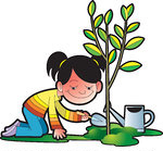Plant trees clip art - Free Clipart Images