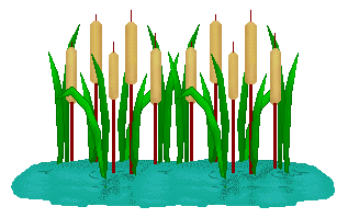 Cattails Clipart