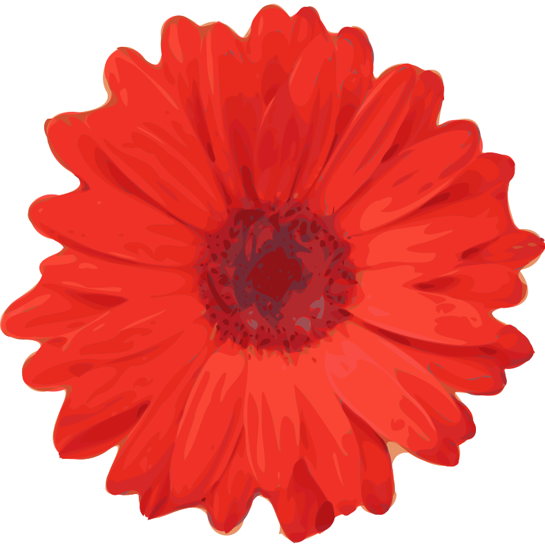 Gerbera Clipart Royalty FREE Flower Images | Flower Clipart Net