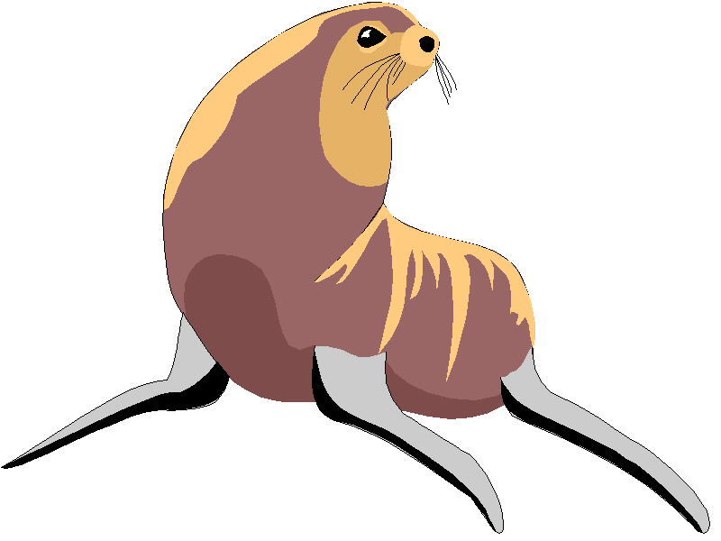 Sea Lion Clip Art Free - Free Clipart Images