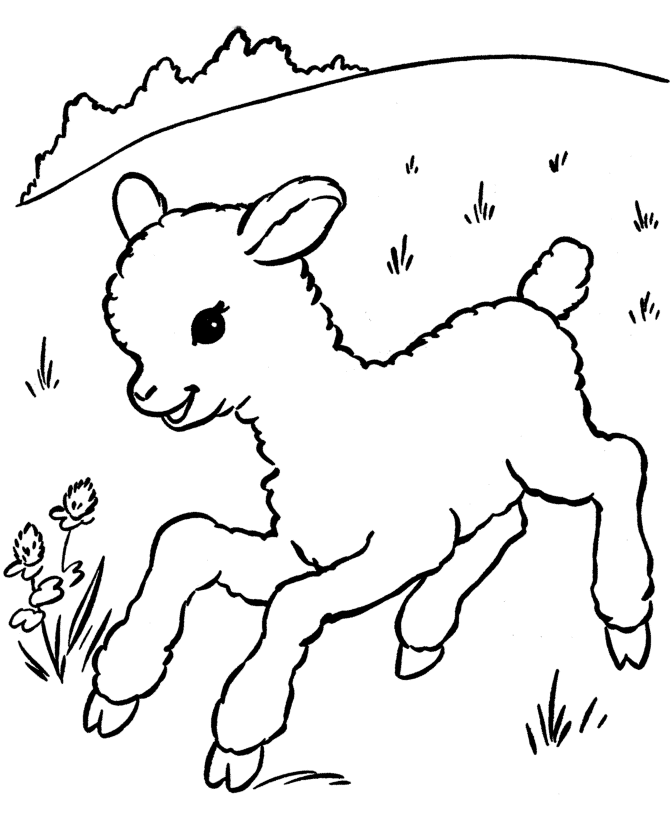 Lamb Coloring Page - AZ Coloring Pages