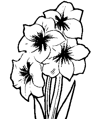 Line Art Flower