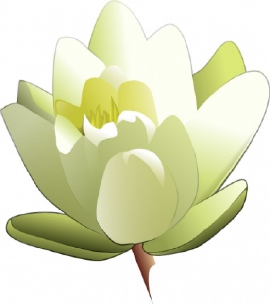 Leland Mcinnes Water Lily clip art | Download free Vector