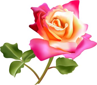 Flowers Roses Clip Art Vector Online Royalty Free