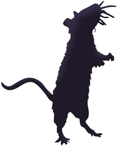 Silhouette Online Store - View Design #21881: rat silhouette