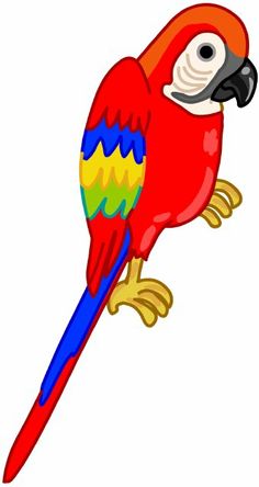 Pirate parrot clipart