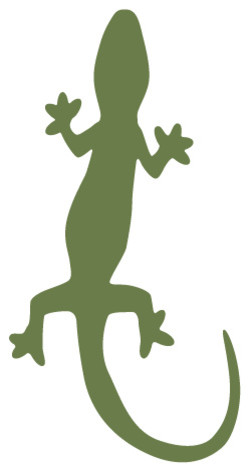 Lizard Stencil for Painting - Contemporary - Wall Stencils - by My ...