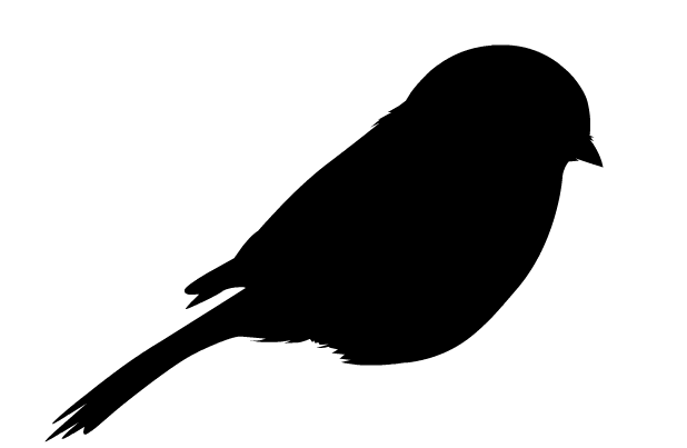 Graphic Birds - ClipArt Best