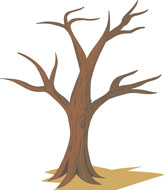 Tree Without Clipart