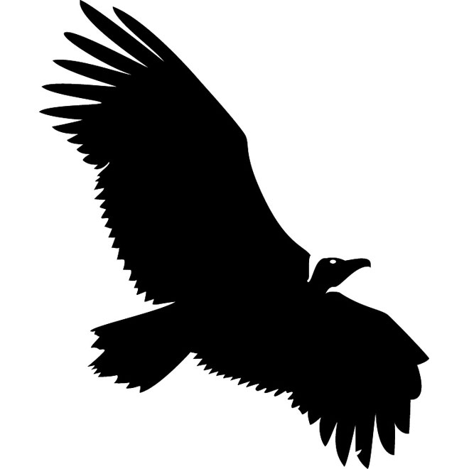 VULTURE VECTOR SILHOUETTE - Download at Vectorportal