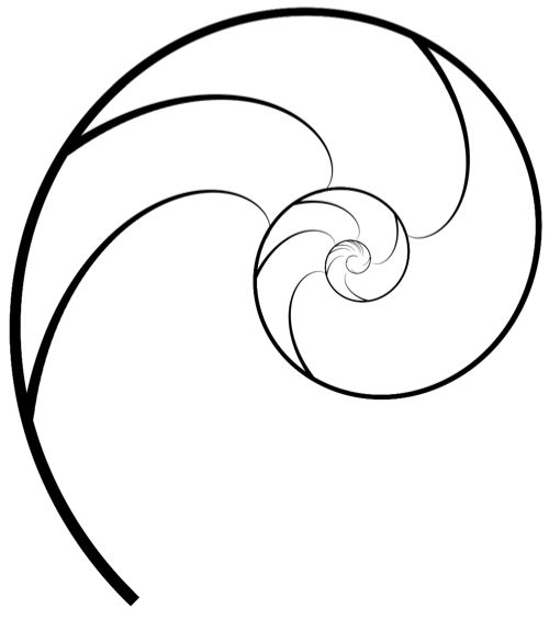 Golden Ratio Tattoo | Fibonacci ...