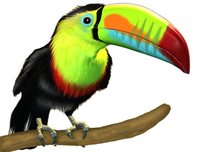 Toucan Clipart