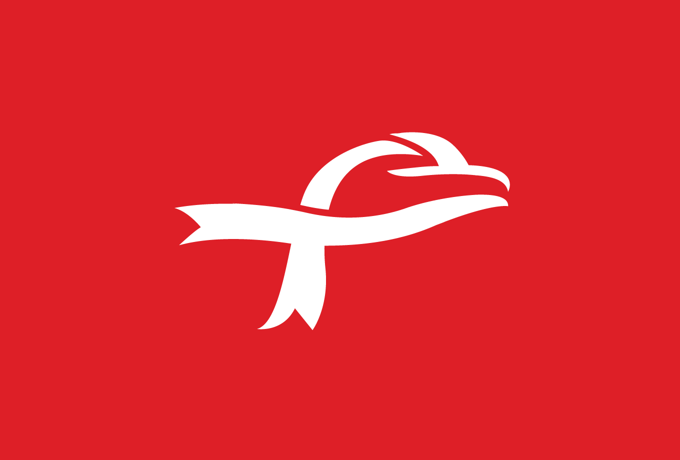 USA Charity Eagle Heart Logo Design | Logo Cowboy