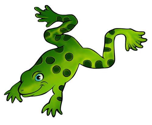 23+ Life Cycle of a Frog Clipart