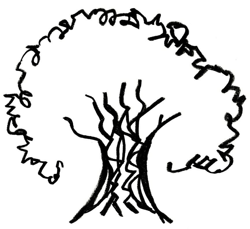 Sycamore tree clipart black and white