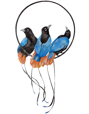 Fran Giffard .Three Blue Birds of Paradise in a Ring