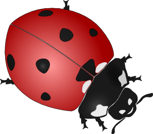 Ladybug clip art Free Vector