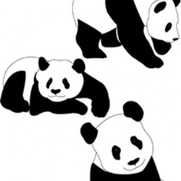 Panda Bears | Download free Vector