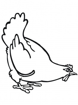 Big Fat Hen coloring page | Super Coloring