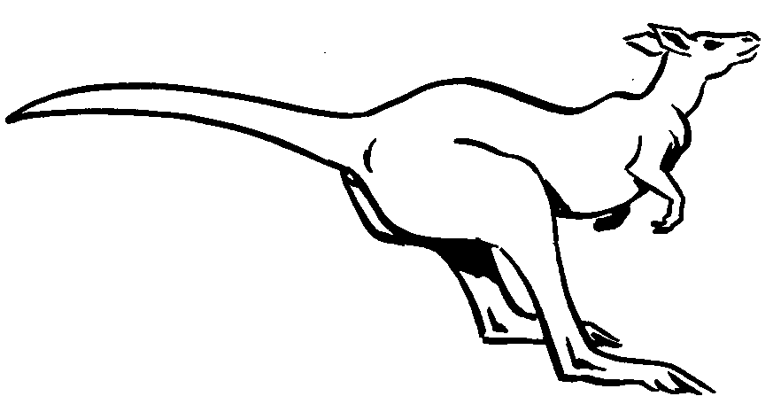 Clip Art Kangaroo