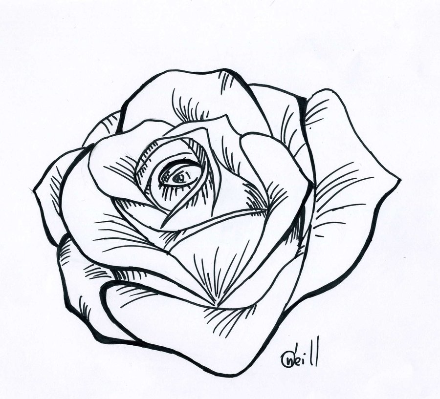 Traditional Rose Outline Drawing - ClipArt Best