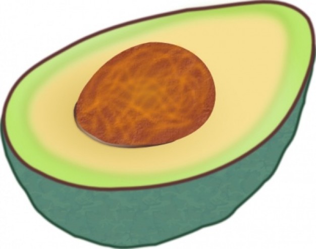 Avocado clip art Vector | Free Download