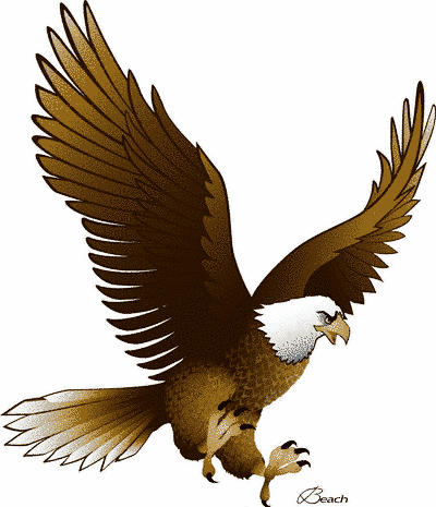 Flying Eagle Clipart