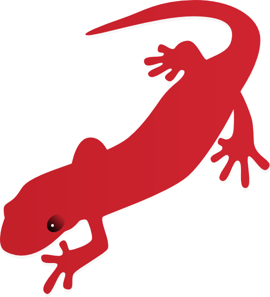 Salamander Clip Art - Free Clipart Images